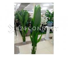 Room Decoration Flower