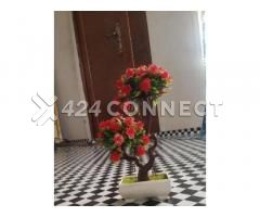 Flowers For Room Decorations