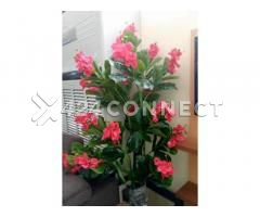 Living Room Decoration Flower