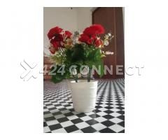 Flowers For Room Decorations