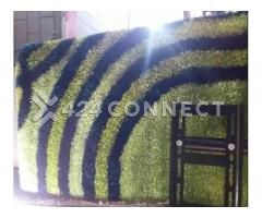 Affordable Green Carpet