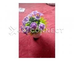 Flowers For Decoration