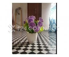 Flowers For Room Decorations