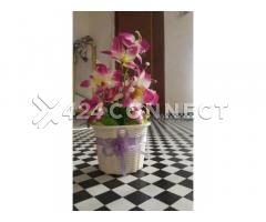 Flowers For Room Decorations