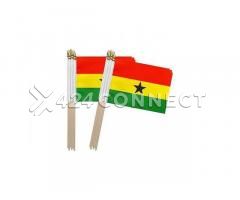 12 Pieces Ghana Flags - Multicolor