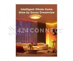 Govee Rgbic Floor Lamp Basic - Image 3/10